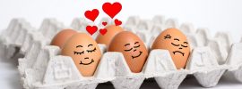 Egg Newsletter - Marketing You Can Touch